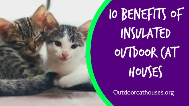 Outdoor_Cat_Houses_Benefits_Of_Insulated_Outdoor_Cat_Houses_logo