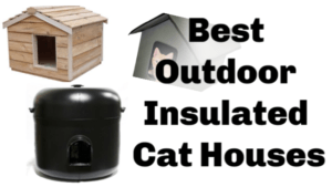 Outdoor_cat_houses_best_outdoor_insulated_cat_houses_thumbnail