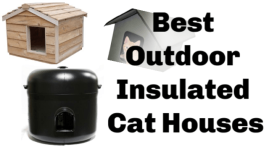 5 Best Outdoor Insulated Cat Houses
