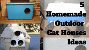 5_build_your_own_homemade_diy_outdoor_cat_house_ideas