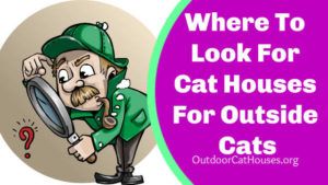 where_to_look_for_cat_houses_for_outside_cats_outdoor_cat_houses